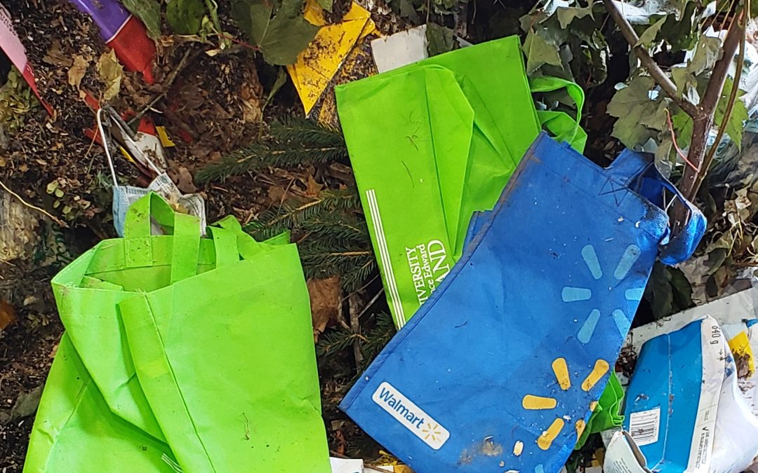 Reusable Bags are Waste